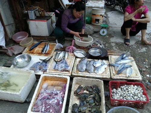 Mực da bong, râu rụng giá 10.000 đồng/lạng ở Hà Nội - 1