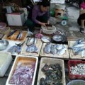Mua sắm - Giá cả - Mực da bong, râu rụng giá 10.000 đồng/lạng ở Hà Nội