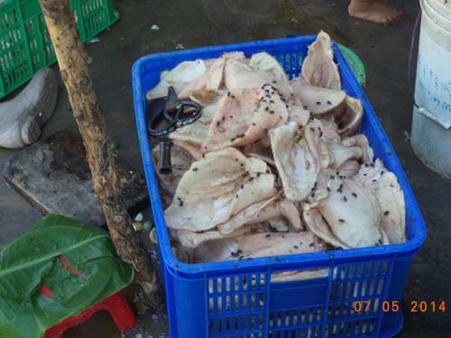 Chủ cơ sở heo thối cầm nữ trang để nộp phạt - 2