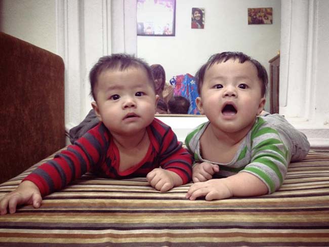 Hai bé Gà và Bon hiện đã được hơn 9 tháng tuổi. 
