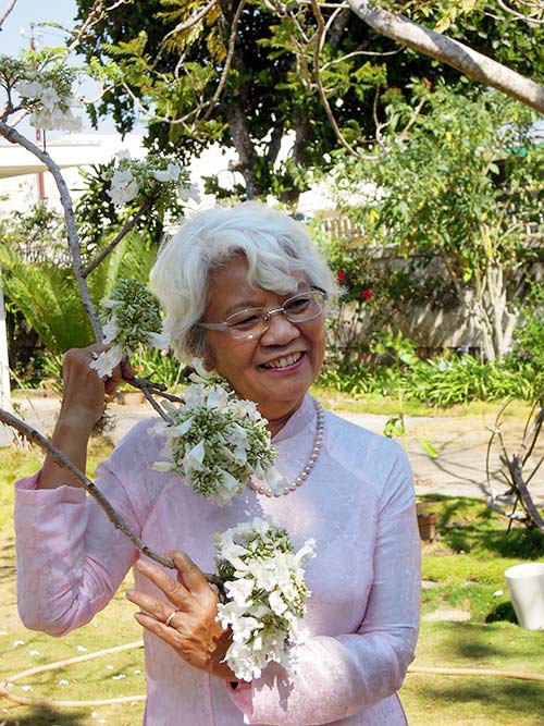 Ngắm hoa phượng trắng duy nhất ở Việt Nam - 6