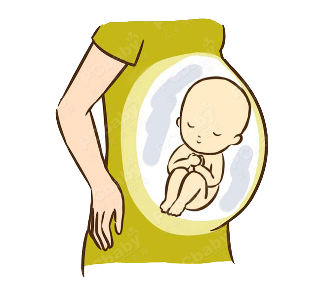Khi nhận thấy phần bụng ngay dưới chân ngực cứng, tròn thì chắc chắn bé đang ngồi ở tư thế đầu phía trên.
