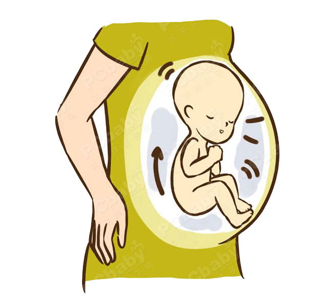 Khi bụng phần trên dưới chân ngực cứng cộng với bụng dưới có những cứ huých nhẹ là tư thế thai nhi nằm quay mặt ra phía ngoài.
