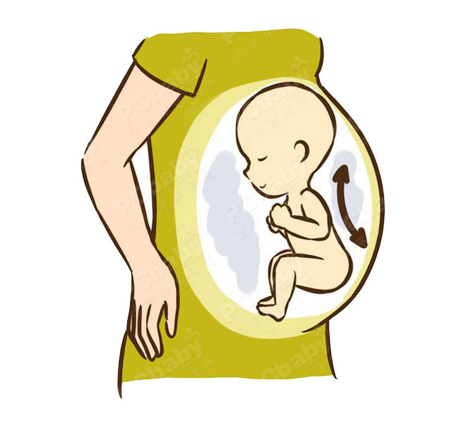Bụng bầu trên và dưới đều cứng nhưng phần giữa lại mềm là tư thế thai nhi nằm quay mặt vào trong bụng mẹ.
