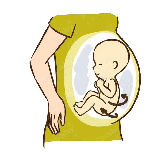 Đây là tư thế nằm rất phổ biến của thai nhi trong bụng mẹ. Tư thế này giúp thai nhi cảm thấy thoải mái nhất.

