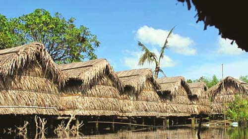 Nữ sinh sốc nặng vì trò đồi bại của #039;tình đầu#039; - 2