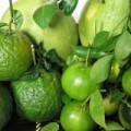 Sức khỏe - Cân bằng nội tiết tố qua ăn uống