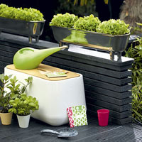 Trồng nấm hương thơm ngon trên gỗ - 8