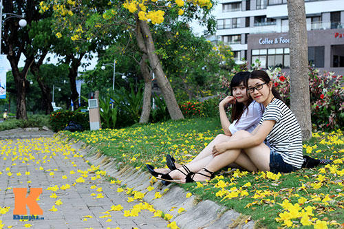 Ngẩn ngơ ngắm hoa bọ cạp vàng phương Nam - 11