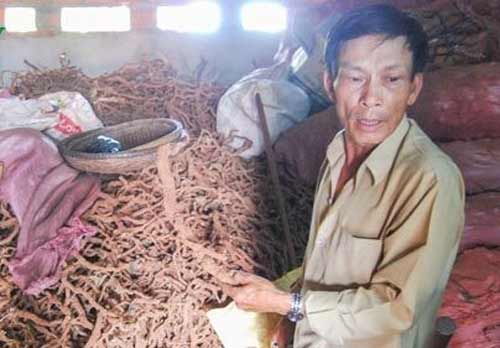 Những kiểu mua bán tận diệt của TQ tại Việt Nam - 11