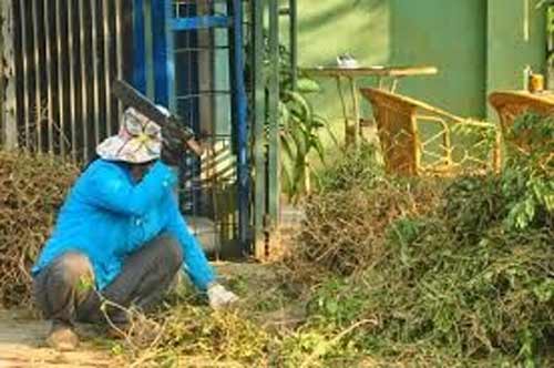 Những kiểu mua bán tận diệt của TQ tại Việt Nam - 12