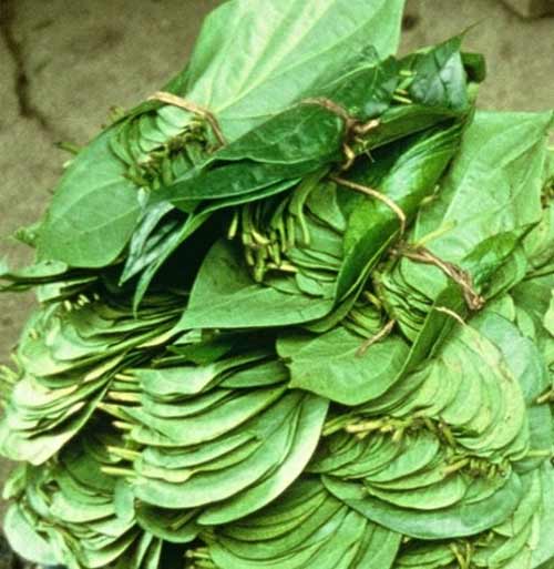 Những kiểu mua bán tận diệt của TQ tại Việt Nam - 14