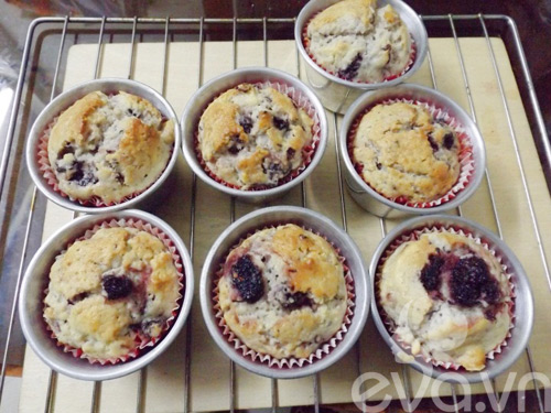 Bánh muffin dâu tằm đầy hấp dẫn - 11