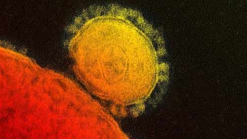 Virus MERS lan ra 18 quốc gia, đe dọa thế giới - 1