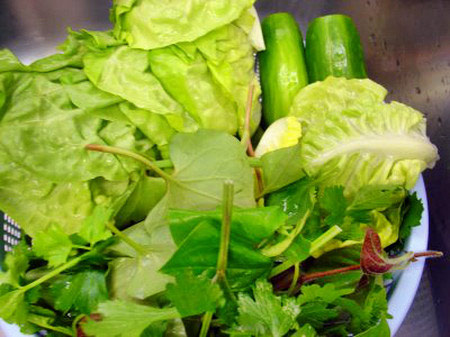 Cảnh giác với bệnh thương hàn - 1