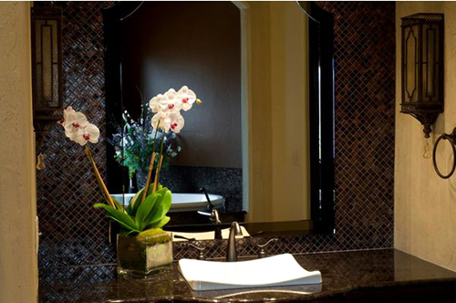 5 cây cảnh đẹp, dễ chăm cho phòng tắm - 11