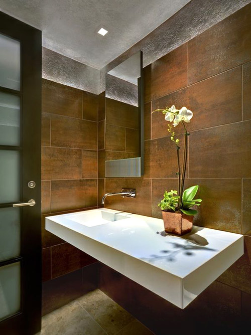 5 cây cảnh đẹp, dễ chăm cho phòng tắm - 14
