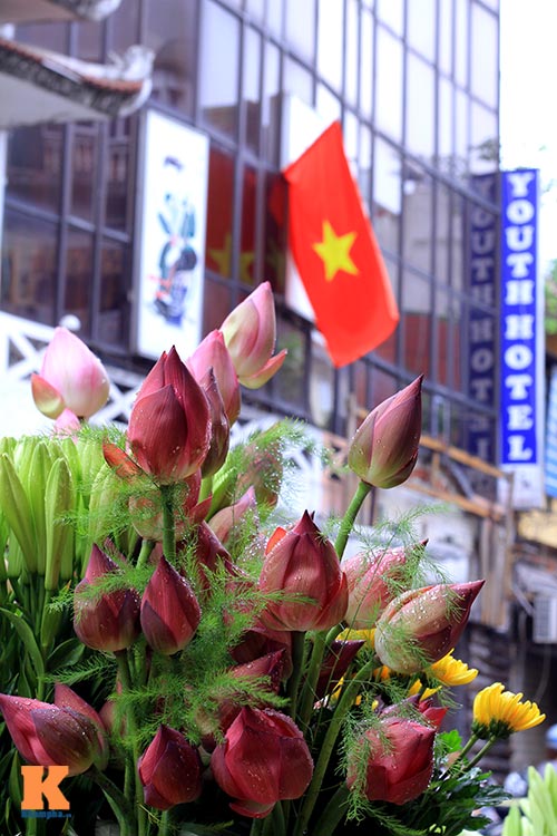Sen hồng rực rỡ quot;đónquot; hè về - 16