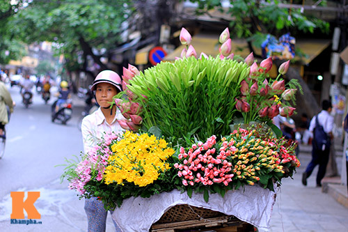 Sen hồng rực rỡ quot;đónquot; hè về - 15