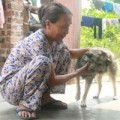 Tin tức - Ngôi làng lạ lùng: Nửa thế kỷ vắng tiếng gâu gâu