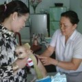 Tin trong nước - Tử vong vì tin thầy lang chữa chó dại cắn