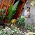 Nhà đẹp - Những ngôi nhà "bình dân" của sao Việt