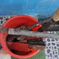 Tin tức - Đập phá tài sản, chém trọng thương phó công an xã