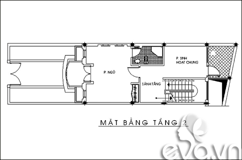 Xây 90m2 nhà Hà Nội xanh mát, hiện đại - 2