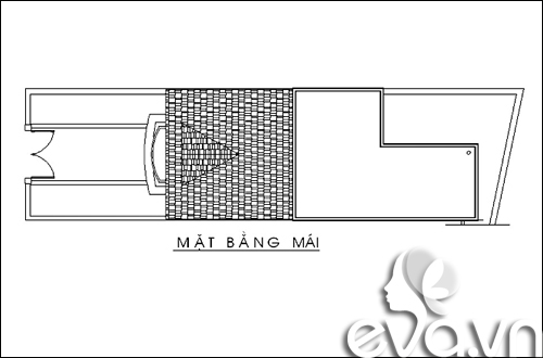 Xây 90m2 nhà Hà Nội xanh mát, hiện đại - 4