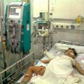 Tin tức - Bé 10 tuổi suy đa phủ tạng vì 60 vết ong đốt