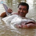 Tin tức - Khúc sông của những ‘thủy quái’ khổng lồ