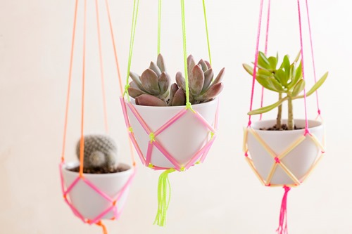 Ngôi nhà xinh xắn với giỏ treo cây sáng tạo - 1