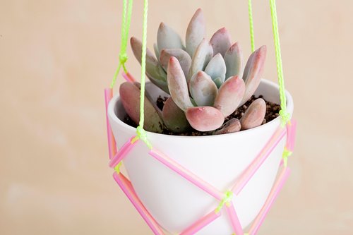 Ngôi nhà xinh xắn với giỏ treo cây sáng tạo - 10