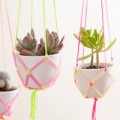 Nhà đẹp - Ngôi nhà xinh xắn với giỏ treo cây sáng tạo