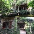 Nhà đẹp - Nhà phủ kín dây leo kỳ lạ ở Hà Nội
