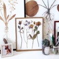 Nhà đẹp - Sáng tạo tranh treo tường từ hoa khô