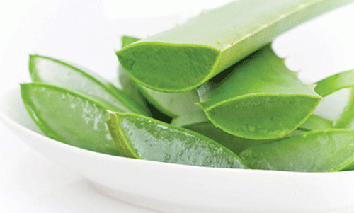 Lô hội giúp da mẹ hết cháy nắng - 1