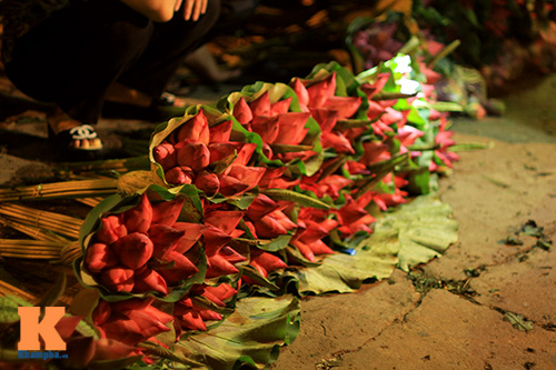 Chợ sen sớm ở Hà thành - 8