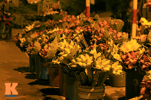Chợ sen sớm ở Hà thành - 2
