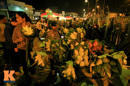 Chợ sen sớm ở Hà thành - 1