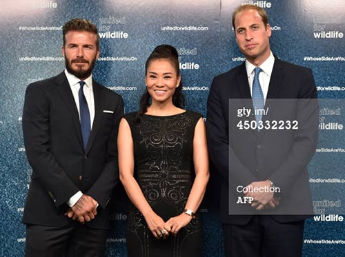 Sao Việt và những cuộc quot;chạm tránquot; Beckham - 3