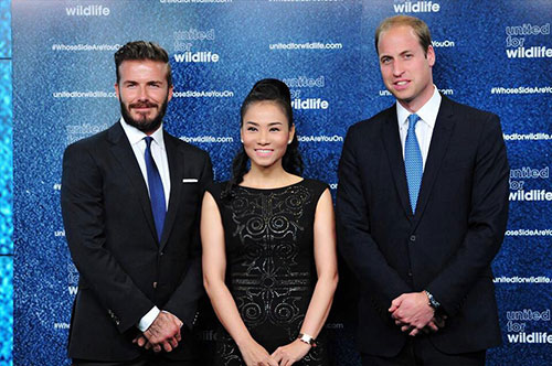 Sao Việt và những cuộc quot;chạm tránquot; Beckham - 4