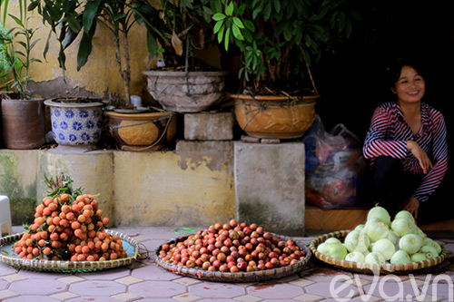 Mận hậu đã vào mùa! - 3