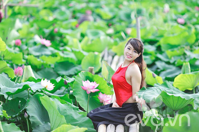 Như một 'luật bất thành văn', cứ đến với sen Hồ Tây, các thiếu nữ lại chọn dải yếm đào để tạo dáng cùng sen. Có lẽ bởi vì sen là quốc hoa của Việt Nam, còn yếm đào là một trang phục mang vẻ đẹp của phụ nữ Việt truyền thống, cả hai đều tượng trưng cho nét văn hóa Việt.
