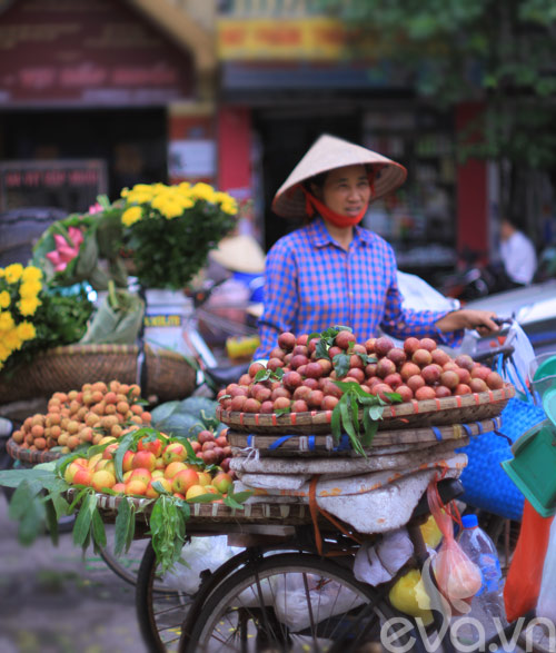 Mận hậu đã vào mùa! - 1