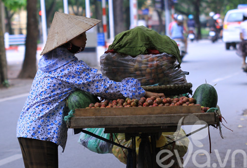 Mận hậu đã vào mùa! - 10