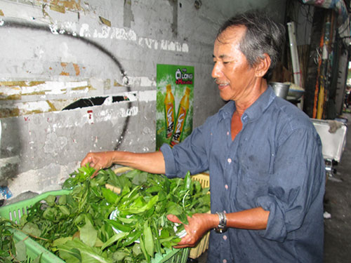 Rộ mốt ăn rau rừng tại TP.Hồ Chí Minh - 1