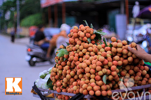 Vải nhộn nhịp quot;xuốngquot; phố - 5