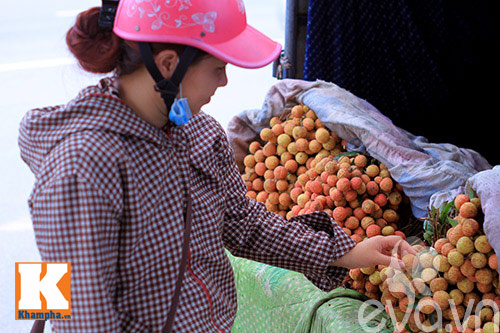 Vải nhộn nhịp quot;xuốngquot; phố - 1