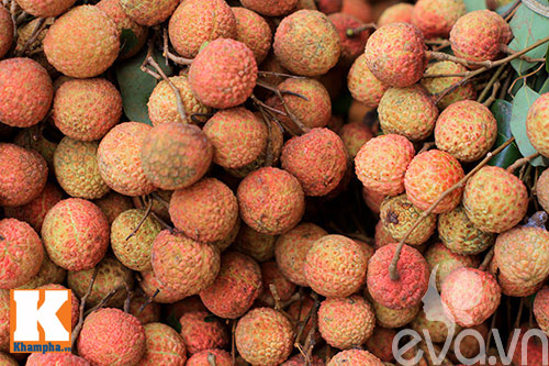 Vải nhộn nhịp quot;xuốngquot; phố - 3